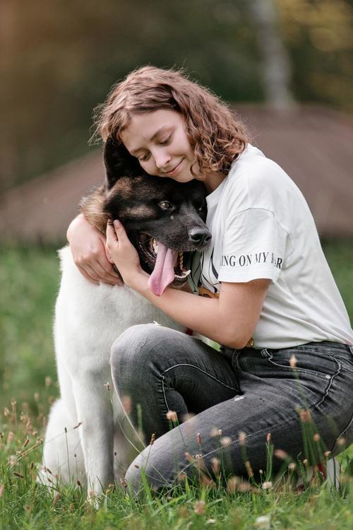 Trygg hundförsäkring med Lassie