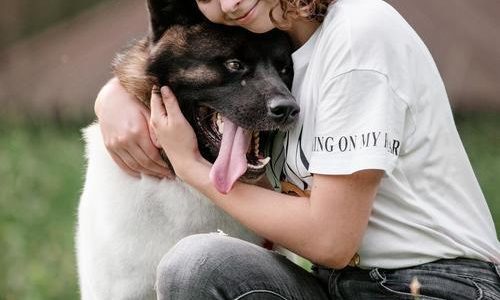 Trygg hundförsäkring med Lassie